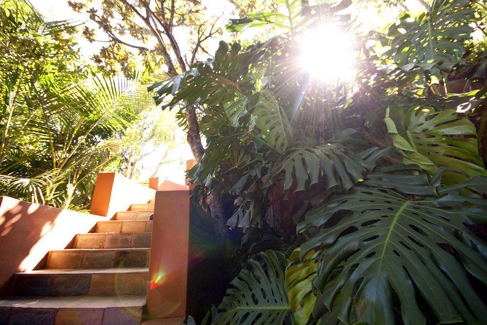 La Roca Guest House Νέλσπρουιτ Εξωτερικό φωτογραφία